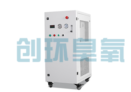 湘西石斑鱼养殖水质调控完整指南:臭氧发生器配置与操作步骤