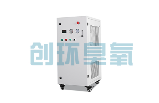 湘西比传统换水更高效?臭氧发生器在石斑鱼养殖中的水质净化原理解析