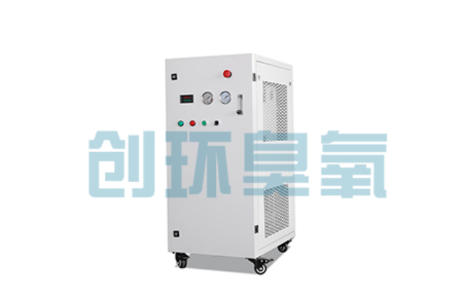 湘西比传统换水更高效?臭氧发生器在石斑鱼养殖中的水质净化原理解析